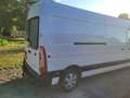 Renault Master Master L3H2 3,5t Bus Energy dCi 165 3-Sitzer Weiß - thumbnail 4
