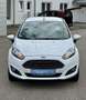 Ford Fiesta Trend 1,25 - Zahnriemen erneuert - 36.500km! Weiß - thumbnail 4
