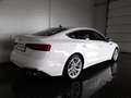 Audi S5 SB 3,0 TDI Quattro S-tr *MATRIX LED / NAVI / VIRTUELL / KAMERA / E-KLAPPE / SHZG VO & HI* Weiß - thumbnail 2