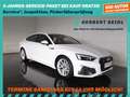 Audi S5 SB 3,0 TDI Quattro S-tr *MATRIX LED / NAVI / VIRTUELL / KAMERA / E-KLAPPE / SHZG VO & HI* Weiß - thumbnail 1