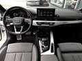 Audi S5 SB 3,0 TDI Quattro S-tr *MATRIX LED / NAVI / VIRTUELL / KAMERA / E-KLAPPE / SHZG VO & HI* Weiß - thumbnail 3