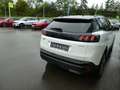 Peugeot 3008 Hybrid GT, Klima, Kamera, Navi, SHZ Weiß - thumbnail 5
