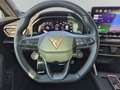 CUPRA Formentor 1.5 eTSI DSG Sennheiser Matrix BLIS ACC Blau - thumbnail 14