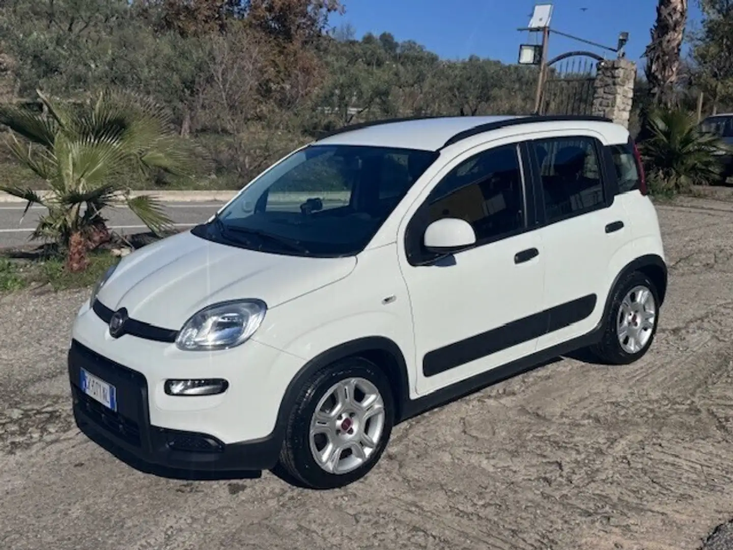 Fiat Panda 1.0 FireFly S&S Hybrid City Life Blanc - 1