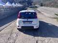 Fiat Panda 1.0 FireFly S&S Hybrid City Life Bianco - thumbnail 3