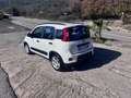 Fiat Panda 1.0 FireFly S&S Hybrid City Life Bianco - thumbnail 2