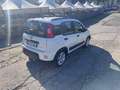 Fiat Panda 1.0 FireFly S&S Hybrid City Life Bianco - thumbnail 4
