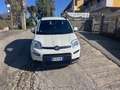 Fiat Panda 1.0 FireFly S&S Hybrid City Life Bianco - thumbnail 6