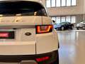 Land Rover Range Rover Evoque Evoque 2.0 SE Dynamic 150cv *MOTORE SOSTITUITO* Weiß - thumbnail 19