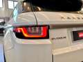 Land Rover Range Rover Evoque Evoque 2.0 SE Dynamic 150cv *MOTORE SOSTITUITO* Weiß - thumbnail 20