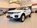 Land Rover Range Rover Evoque Evoque 2.0 SE Dynamic 150cv *MOTORE SOSTITUITO* Weiß - thumbnail 1