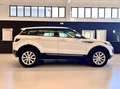 Land Rover Range Rover Evoque Evoque 2.0 SE Dynamic 150cv *MOTORE SOSTITUITO* Weiß - thumbnail 5