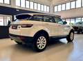 Land Rover Range Rover Evoque Evoque 2.0 SE Dynamic 150cv *MOTORE SOSTITUITO* Weiß - thumbnail 4