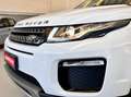 Land Rover Range Rover Evoque Evoque 2.0 SE Dynamic 150cv *MOTORE SOSTITUITO* Weiß - thumbnail 17