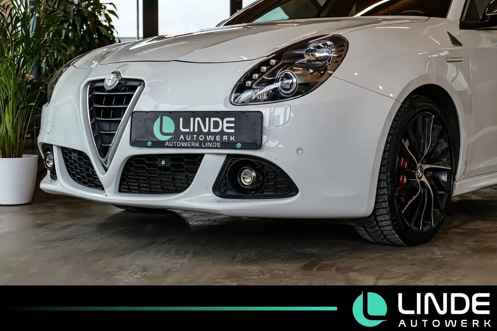 Alfa Romeo Giulietta Quadrifoglio Verde |BOSE|Bi-XENON|NAVI Weiß - 2