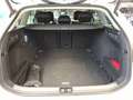 Volkswagen Passat Elegance 2.0 TDI DSG / Matrix, 360°, AHK Weiß - thumbnail 10