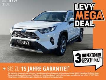 RAV4 2.5  Hybrid Team D *KLIMA*SHZ*LHZ*PDC*LM*