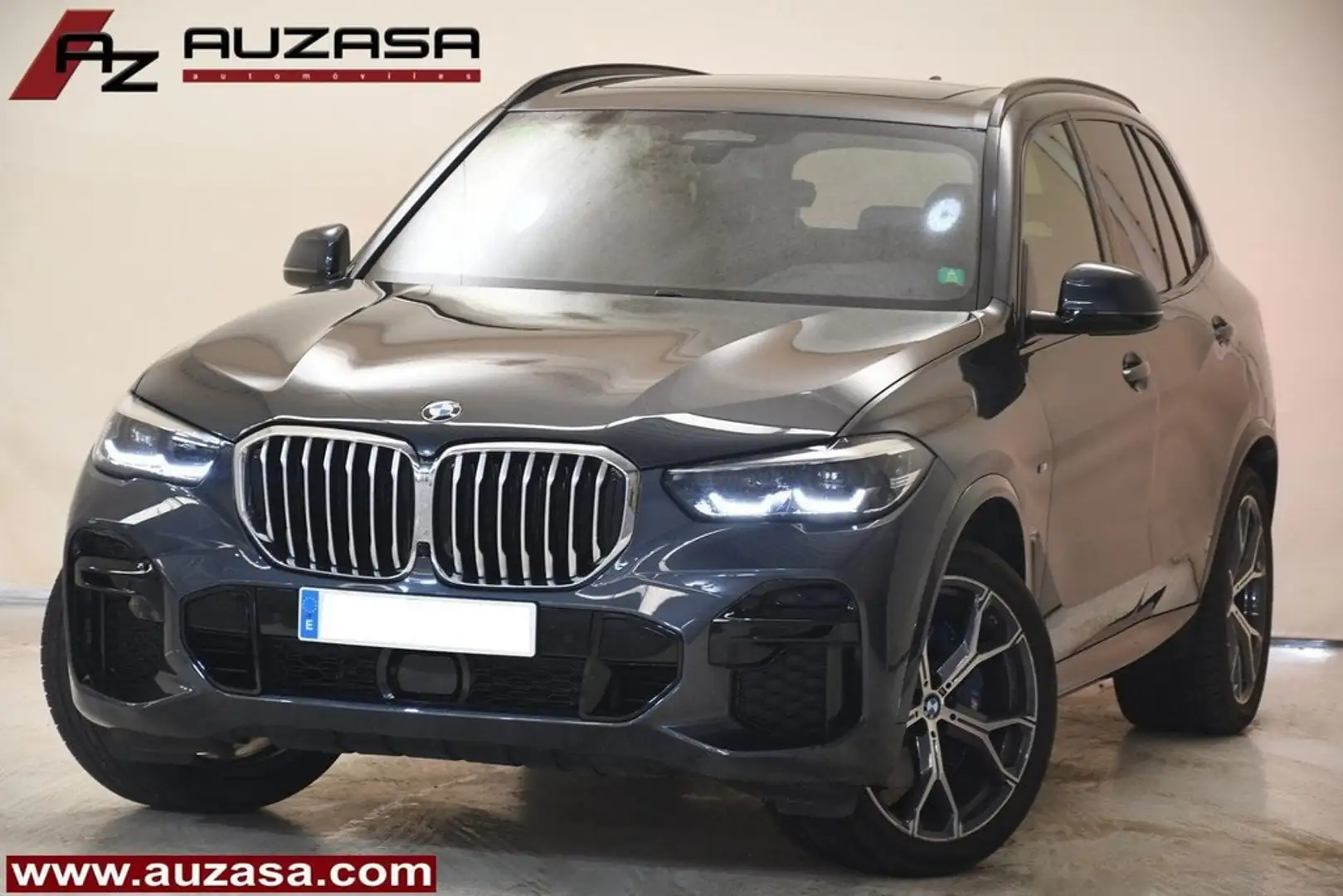 BMW X5 xDrive30d Gris - 1