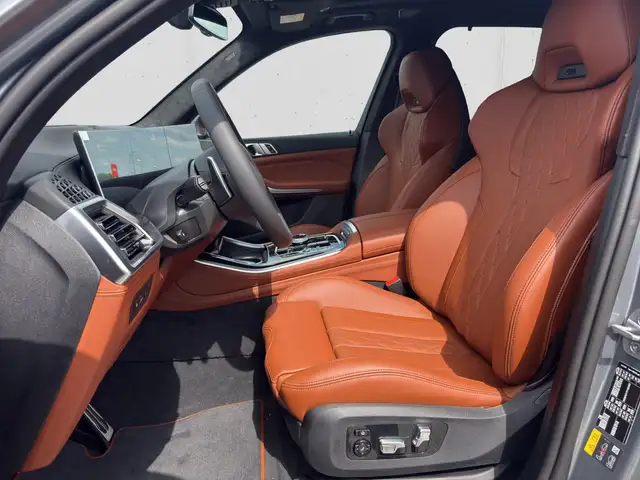 BMW X5 view 8