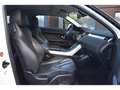Land Rover Range Rover Evoque Range Rover Evoque 2.2 SD4 - BVA  Dynamic PHASE 1 Weiß - thumbnail 13