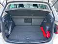 Volkswagen Golf Plus Golf Plus Rabbit 2012 1,2 TSI Rabbit 2012 Weiß - thumbnail 11