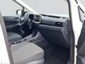 Volkswagen Caddy Maxi 1.5 TSI  Automatik Winterpaket 7-Sitz Weiß - thumbnail 12
