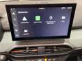 Dacia Sandero Stepway ECO-G Extreme 120 Amarillo - thumbnail 11