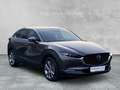 Mazda CX-30 2.5L e-SKYACTIV G FWD Exclusive-Line Exclusive-lin Grau - thumbnail 7