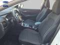 Nissan Qashqai 1.3 DIG-T mHEV 12V Acenta 4x2 103kW Blanco - thumbnail 9