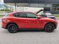 Alfa Romeo Stelvio 2,2 Super AT8 Q4 Rot - thumbnail 6