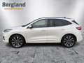 Ford Kuga ST-LINE X 2.5 PHEV 225PS CVT FWD Bianco - thumbnail 3