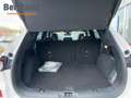 Ford Kuga ST-LINE X 2.5 PHEV 225PS CVT FWD Bianco - thumbnail 14