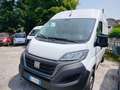 Fiat Ducato 30 2.2 Mjt 140CV PM-TM Furgone Wit - thumbnail 3