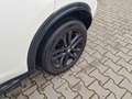 Nissan Juke Juke Acenta/Klima/Kamera/Navi/SHZ/Eu5/2Ha/TUVNeu Weiß - thumbnail 8