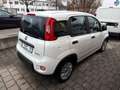 Fiat Panda MY24 Panda Hybrid 1.0 GSE 51kw (70PS) Weiß - thumbnail 7
