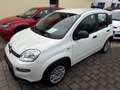 Fiat Panda MY24 Panda Hybrid 1.0 GSE 51kw (70PS) Weiß - thumbnail 3