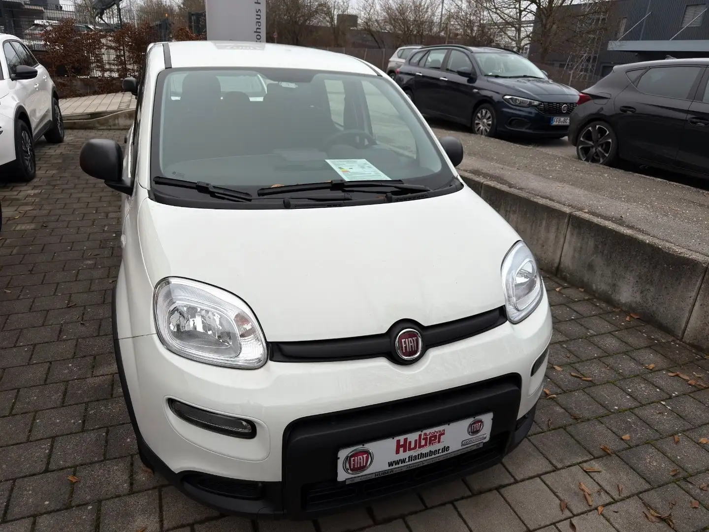 Fiat Panda MY24 Panda Hybrid 1.0 GSE 51kw (70PS) Weiß - 2