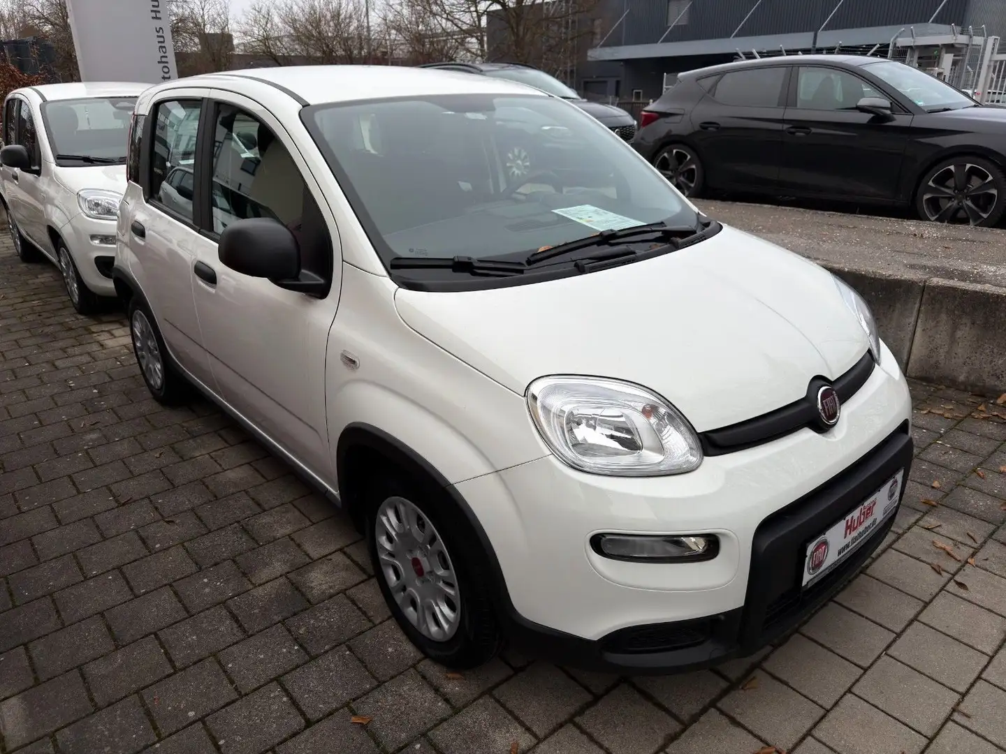 Fiat Panda MY24 Panda Hybrid 1.0 GSE 51kw (70PS) Weiß - 1