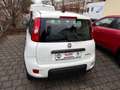Fiat Panda MY24 Panda Hybrid 1.0 GSE 51kw (70PS) Weiß - thumbnail 6