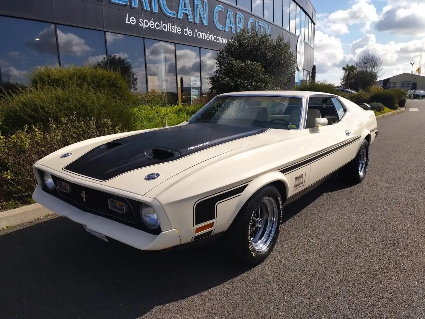 Ford Mustang MACH 1 429 COBRA JET MATCHING NUMBERS Biały - 1