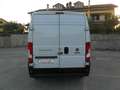 Fiat Fiat Ducato 2.3MJT 140 CV L3H2 Porta Laterale Blanc - thumbnail 8