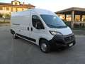 Fiat Fiat Ducato 2.3MJT 140 CV L3H2 Porta Laterale Blanc - thumbnail 21