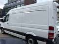 Mercedes-Benz Sprinter 313 CDi Kasten H+Lang Euro5 1.Hand+ Weiß - thumbnail 4