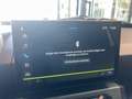 Dacia Spring Electric Extreme Grau - thumbnail 19