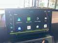 Dacia Spring Electric Extreme Grau - thumbnail 18