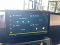 Dacia Spring Electric Extreme Grau - thumbnail 17