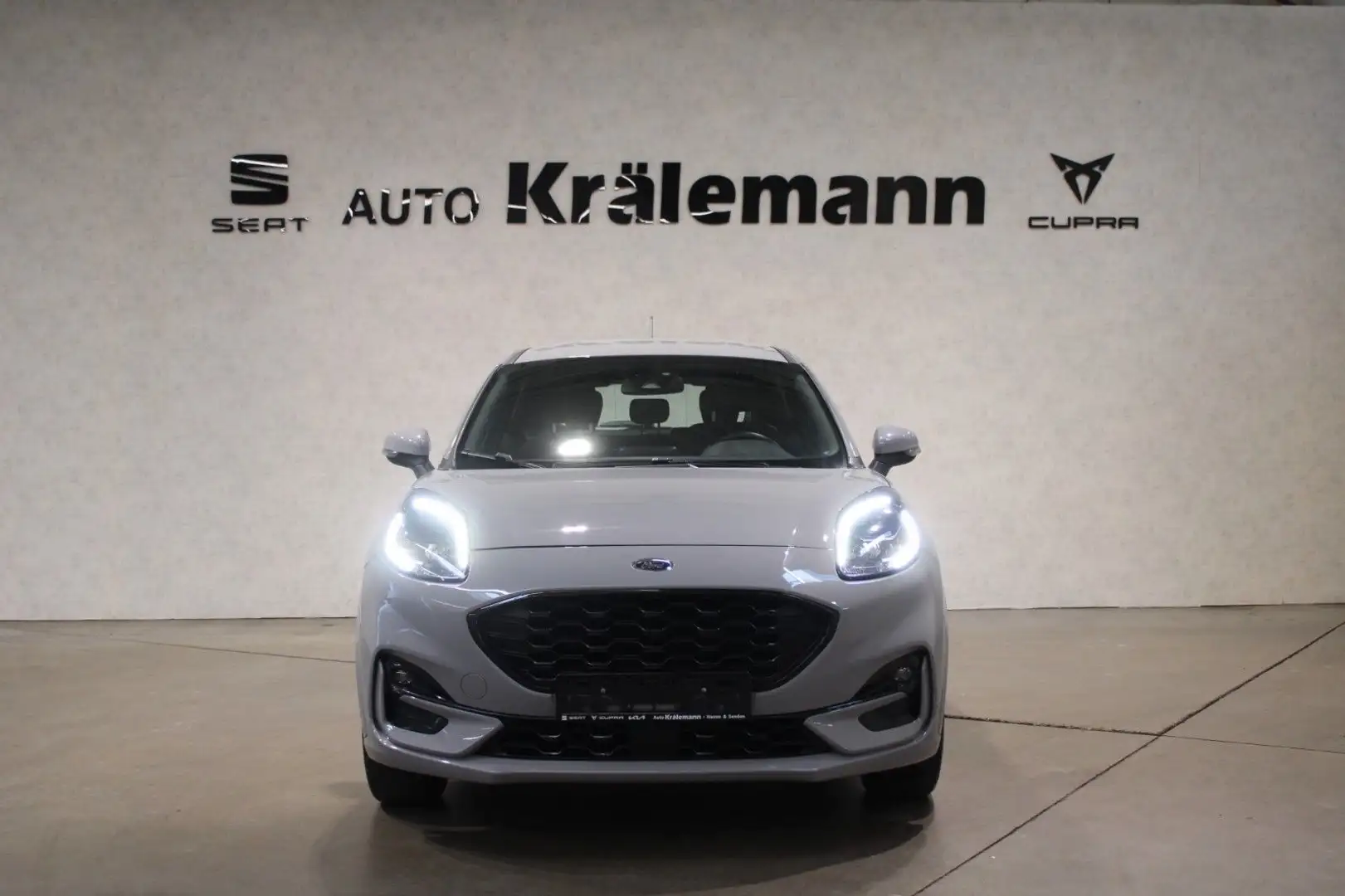 Ford Puma ST-Line 1,0 92 KW*Navi*LED* Gris - 2