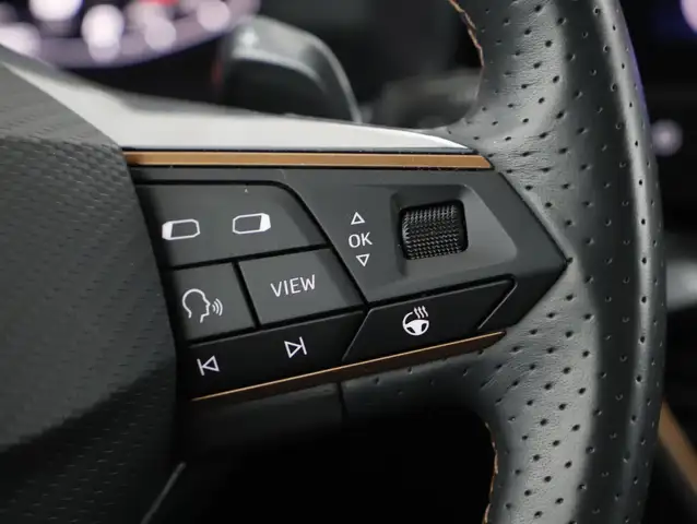 Cupra Formentor view 14