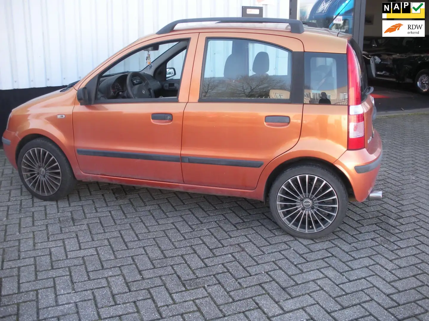Fiat Panda 1.2 Edizione Cool Oranje - 1
