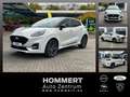Ford Puma 1.0 EcoBoost Sound Edition ACC+AHK+LED+Navi Weiß - thumbnail 1